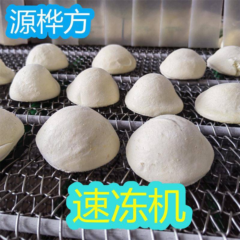 源桦方猪肉包速冻机香菇素包冷冻加工设备紫薯条冷冻机