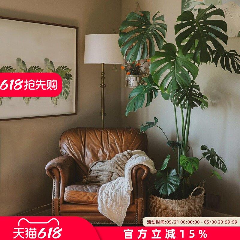 龟背芋彷真绿色植物高端轻奢客厅办公室彷生植物盆栽落地摆件装饰