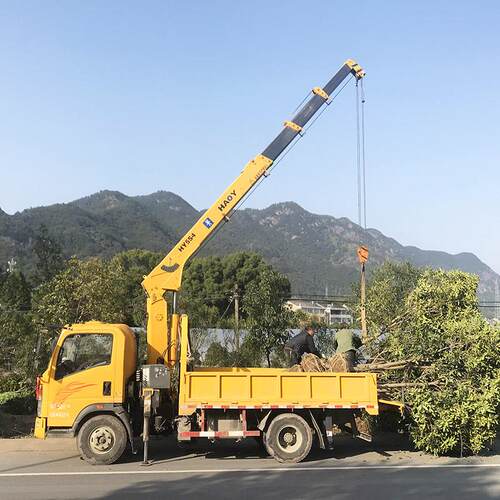 厂家直销小型园林绿化吊机tHY5S-4豪曼国六直臂5吨随车吊