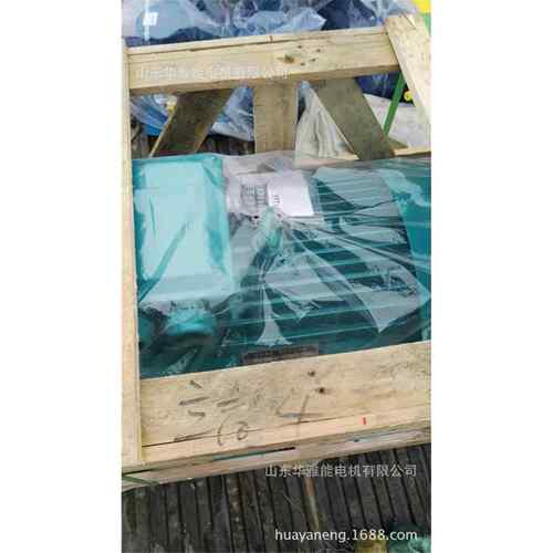 大速JZR2400-10-200KW电机奔牛JZR2400-10-200KW电机安装尺寸相同