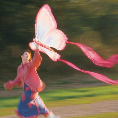 长飘带蝴蝶风筝为成人2025新的儿童的微风容易飞野餐照片道具气氛