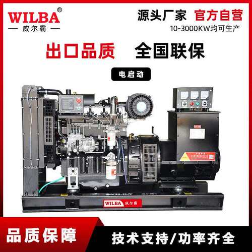 柴油发电机组50-300kw低噪音大功率全铜无刷三相发电机380v
