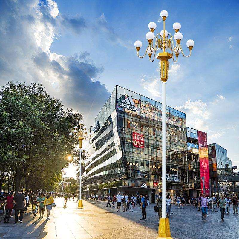 景观灯景观路灯LED市电路灯市政路灯工程照明灯玉兰灯景观灯