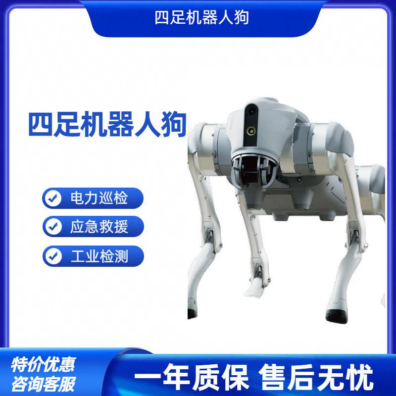 语音AI大模型具身智能仿生陪伴机器人四足机器人狗教育研可二次