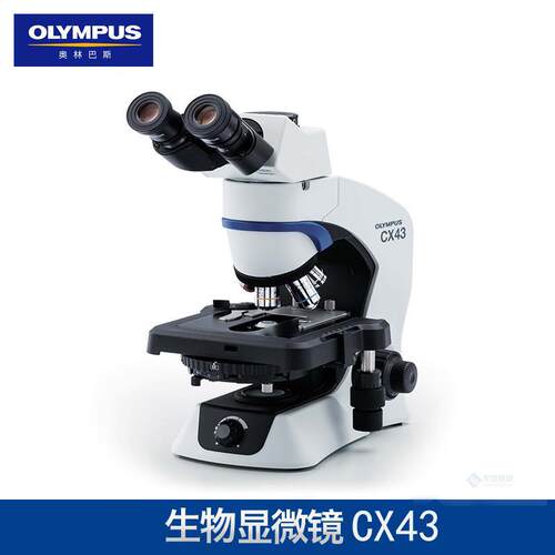奥林巴斯CX43双目三目生物显微镜CX41替代型号显微镜