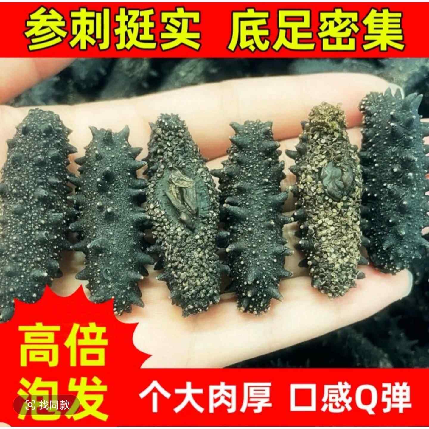 大连淡干海参纯干 干货刺参辽参50-500克非即食鲜活海参礼盒包邮