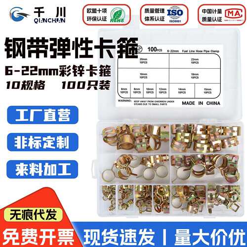 10规格跨境6-22mm盒装100Pcs钢带卡箍软管夹喉箍铁皮卡子镀锌快装