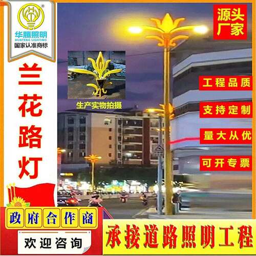 中式led路灯民族特色造型灯8-12m防水道路景观灯公路杆路灯