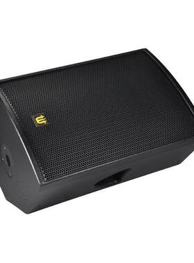DT-15专业豪华型舞台音响户外音响演出音响高端型音响设备