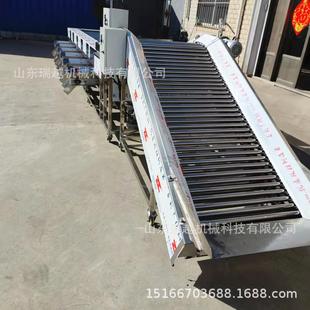 厂家小型冬枣分级机桃子分选机工业选枣机设备不锈钢杏子筛选机