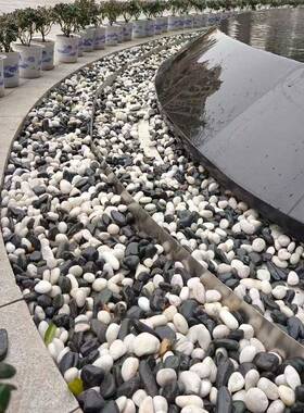 杂色鹅底卵石雨花河滩石园林工程石铺路石水池垫器变250625压石回
