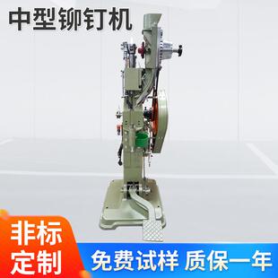 厂家TS-R626铝箱中型铆钉机首饰盒铆钉机箱包铆接打钉机设备