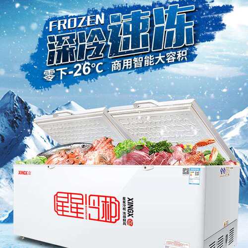星星冰柜冷藏保鲜冷冻冰箱速冻雪糕冷饮海鲜柜卧式冷柜商用冰柜