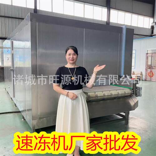 不锈钢IQF速冻机 鲜豆清洗流水线 板栗速冻机原理
