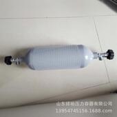 高压采样器 双口瓶 氯气瓶 气体瓶 氨气瓶 不锈钢取样瓶