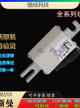 巴斯曼170M3238 170M3239 170M3240 原装进口零售 紧凑熔断器