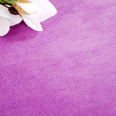 正品现代间卧室满铺家用兰绒加厚地毯发客厅茶法几沙吸房尘可手洗