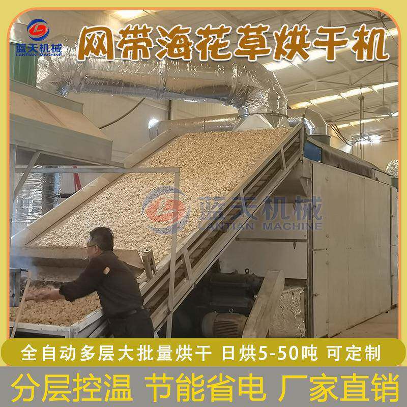 网带海花草烘干机连续式泥炭藓水草脱水干燥机水苔烘干设备商用