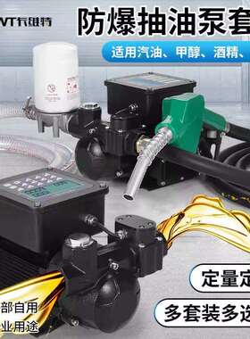 卡维特电动抽油泵12v24v220v伏柴汽油防爆车载加油机小型卷盘机