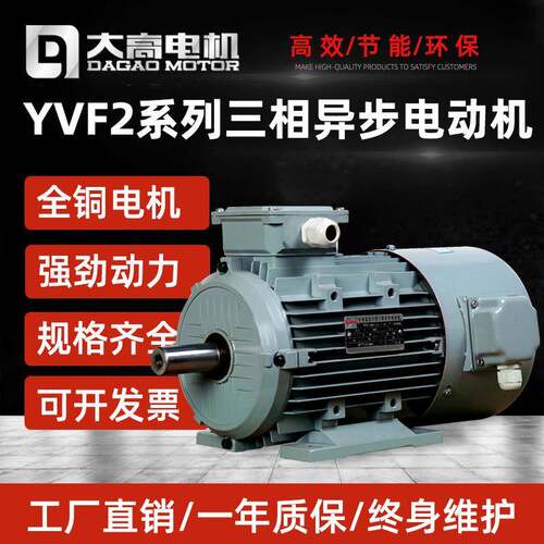 大高VF2变频调速三相异电动机9750.5-315KW 52/4/Y6极步交流电机