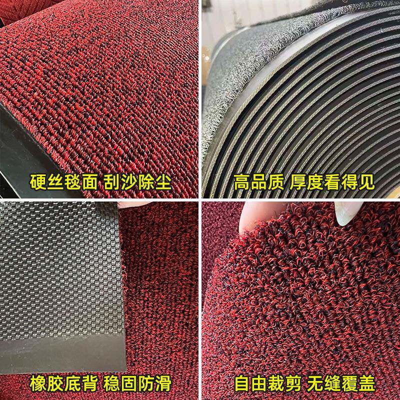 进门薄硬丝圈地垫门口酒店家用入户门除尘地毯防滑耐磨脚垫可裁剪