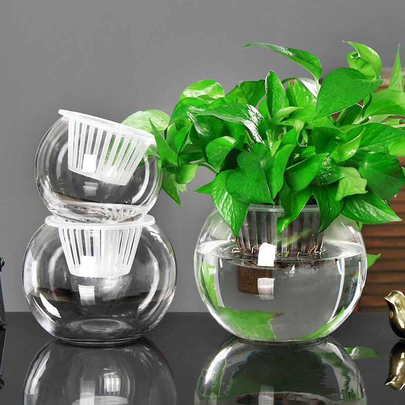 水培花盆植物透明玻璃花瓶简约水养绿萝盆栽圆球形小鱼缸器皿容器