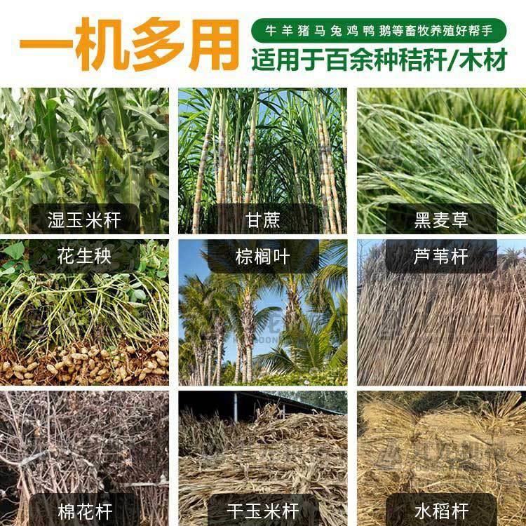 干玉米秆花生秧破碎机多功能农作物饲料揉丝机黄储秸秆粉碎机