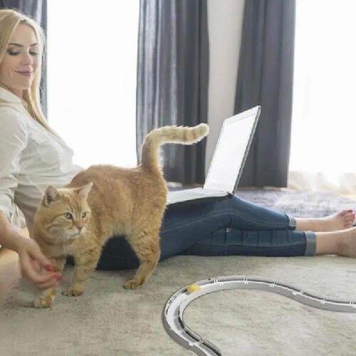 Cat Ball Track Interactive Fun Cat Ball Toy Mental Physical