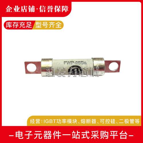 FWX-35A FWX-40A FWX-45A/50A FWX-60A/70A/80A快速熔断器保险丝
