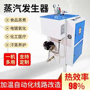 全自动高压轮胎油油脂清洗蒸汽发生器锅炉沸腾炉