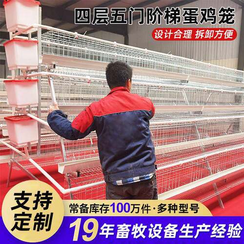阶梯式蛋鸡笼生产厂家冷镀锌蛋鸡笼四层五门肉鸡笼养设备厂家供应