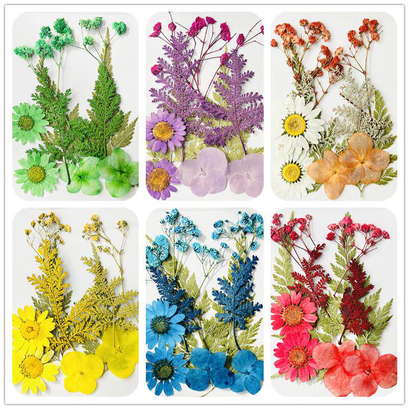 跨境干花压花手工DIY押花真花PressedFlower材料包花瓣贴脸妆