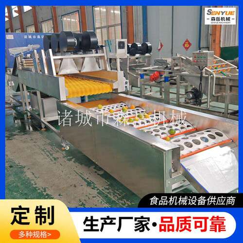 商用柠檬洗果机分级选果机304不锈钢果蔬清洗机器洗果机工厂直供