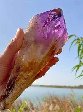 天紫水晶摆大骨然干居权49756杖件水晶原石原皮柱家办公摆件