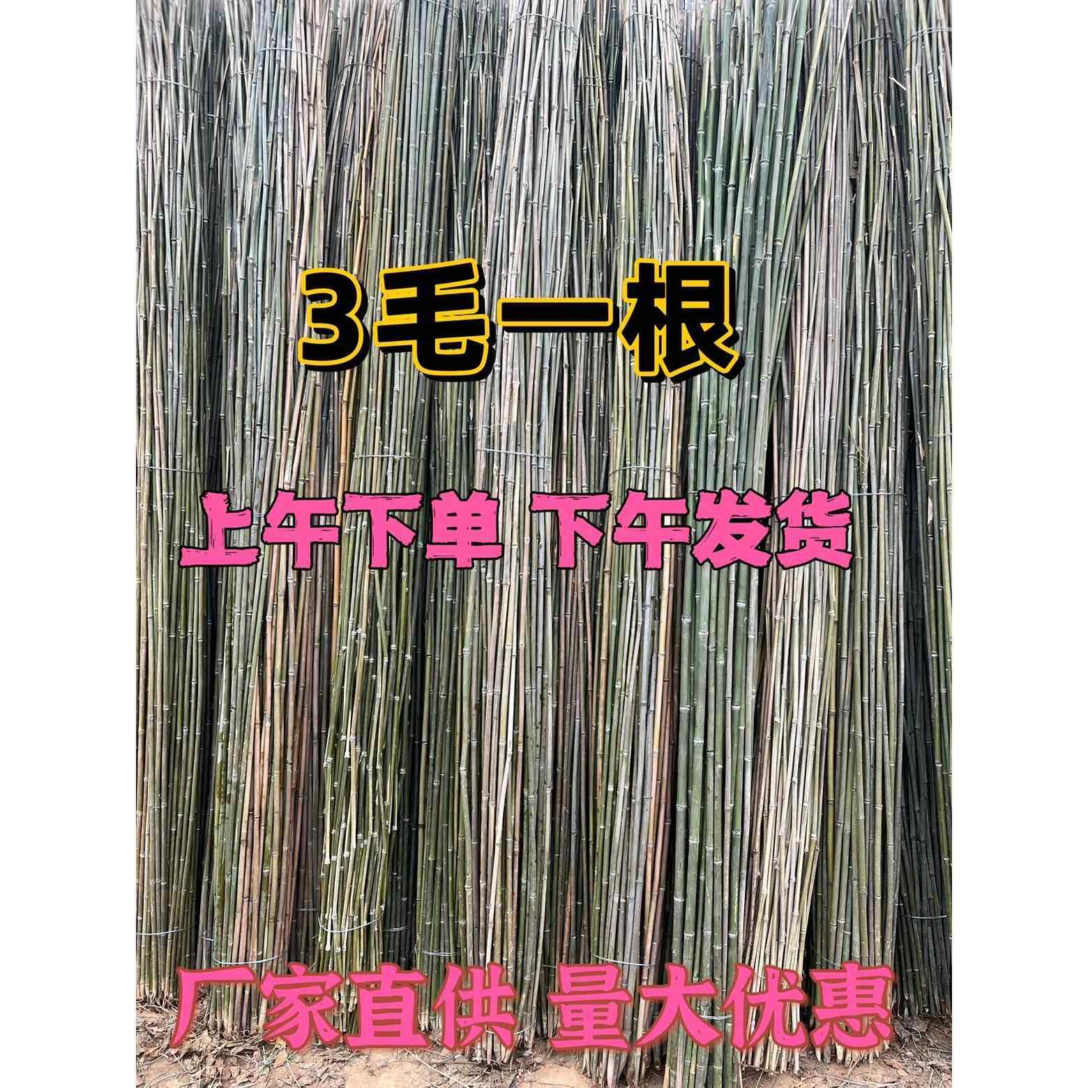 种菜棚架竹竿子菜园搭架各种蔬菜架丝瓜架黄瓜架豆角架番茄架爬藤
