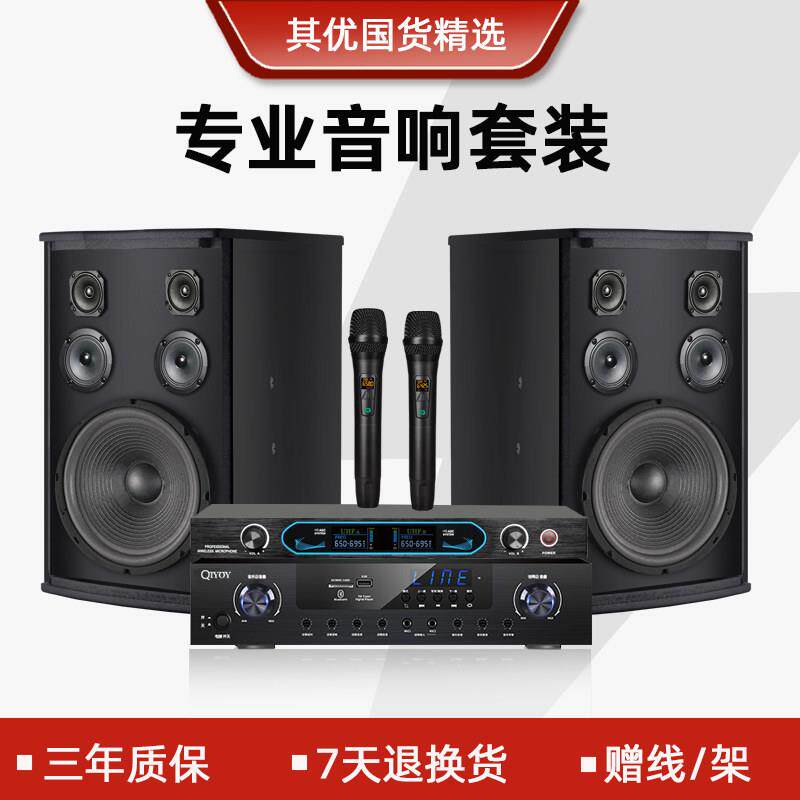 其优 KTV卡包音响套装会议室专用音箱8寸10寸12寸舞台音响设备