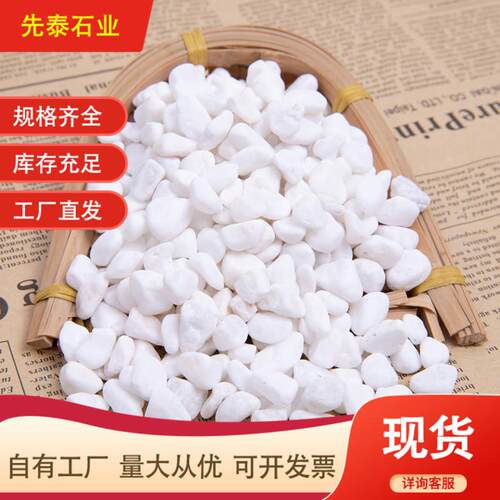 白色鹅卵石砾石雪花白水磨石园林庭院家装景观白石子