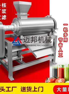 现货商用水果打浆机杨桃去核设备果酒打浆机加工去核