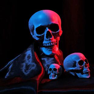 All Skeleton Photo Pro Head Style Skull Human Size Halloween