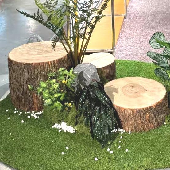 天然带皮树桩原木墩子木凳子花架根雕底座茶几凳子拍照道具木桩