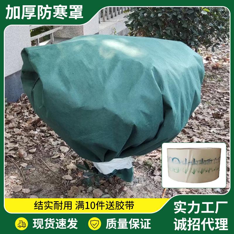 多肉加厚植物防寒保温袋园艺花卉雨雪塑料膜果树户外菜苗家用布套