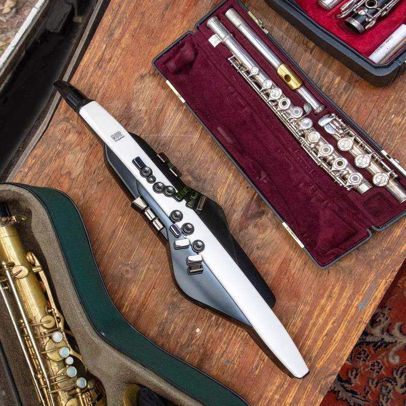 Roland罗兰电吹管乐器AE20AE30中老年人娱乐初学电子萨克斯葫芦丝