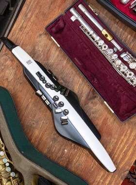 Roland罗乐兰电66565吹管器AE20AE3乐0中老克年人娱初学电子萨斯