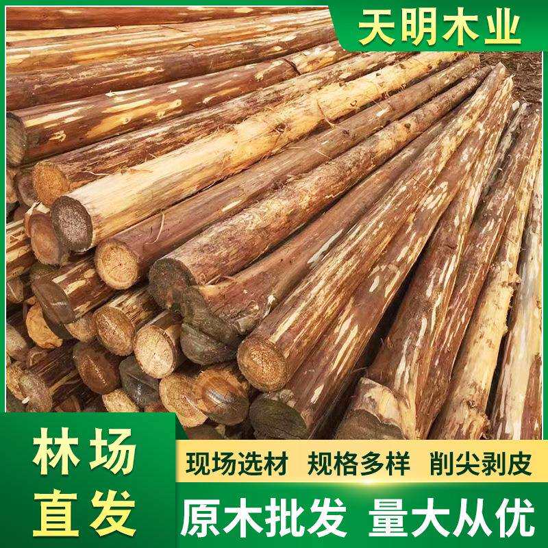 杉木原木桩户外河道驳岸实木打桩木堤坝防汛木桩落叶松圆木桩