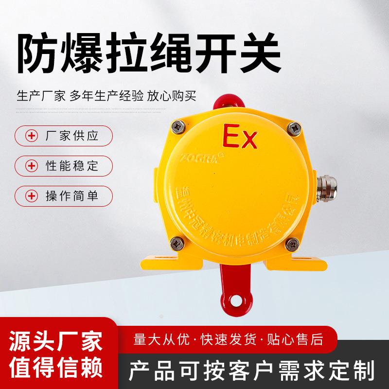 皮带输送机安全事故急停拉线拉绳开关后压防爆拉绳开关