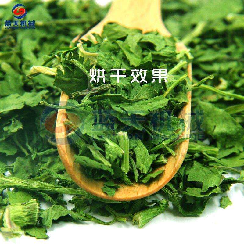 蓝天香菜烘干机 小型商用芫荽胡荽烘干箱 香荽脱水烘干设备全自动