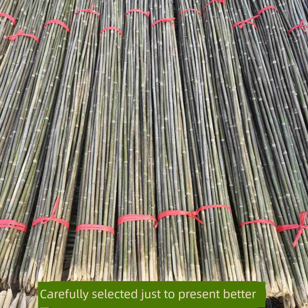 竹竿蔬菜园框架豆类黄瓜番茄樱桃番茄水果蔬菜爬藤庭院篱笆篱笆小