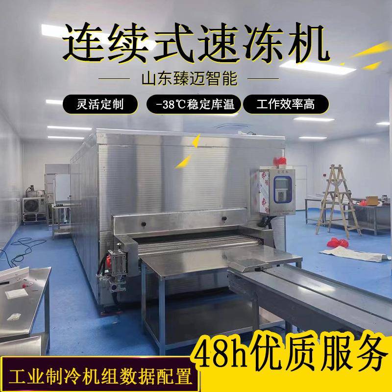 连续式速冻机海虾鳌虾隧道式速冻机海鲜大型连续式冷冻设备厂家