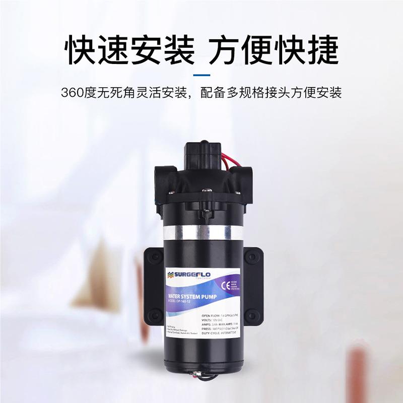 美厂家直销DP-60 微型扫隔膜水泵 路车循环 清洗仪器泵医专99用泵