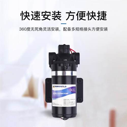 美厂家直销DP-60 微型扫隔膜水泵 路车循环 清洗仪器泵医专99用泵